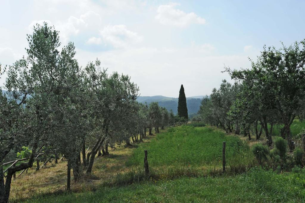 Borgo Rapale Villa Екстериор снимка